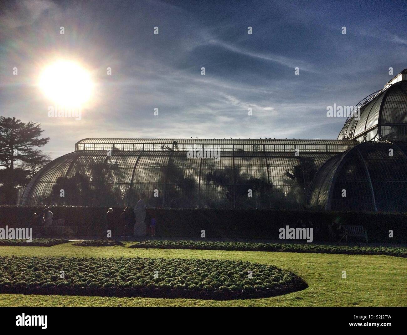 The Palm House at Kew Gardens on a sunny afternoon in London, UK - Smartphone Captured Stock Image