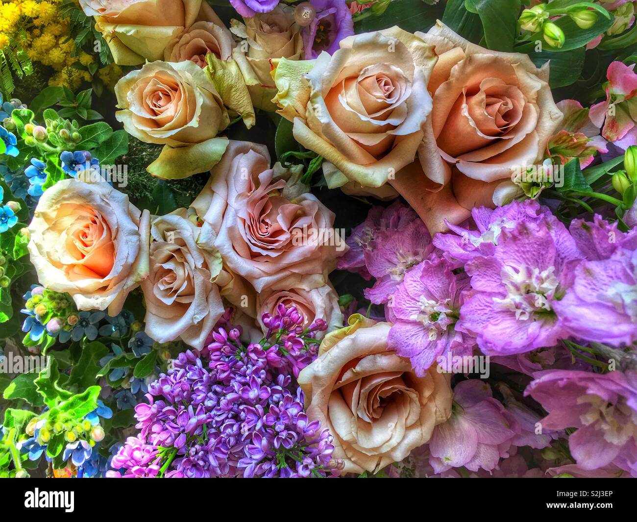 Roses and other flowers for sale - Smartphone Captured Stock Image