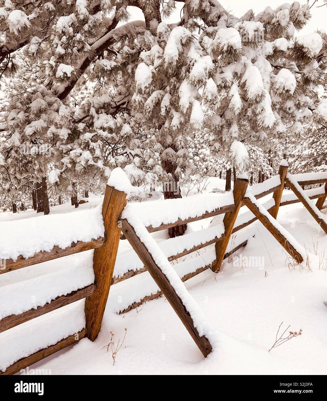 Wooden rail fence by a forest covered in snow Stock Photo - Alamy