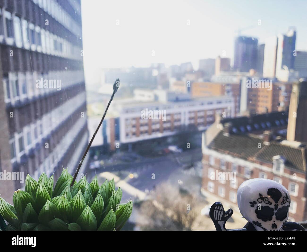 Reach for the sky - Smartphone Captured Stock Image