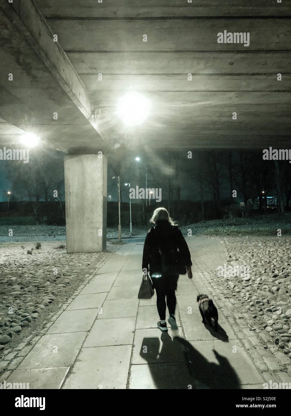 Walking the dog. Glasgow. Scotland. UK. - Smartphone Captured Stock Image