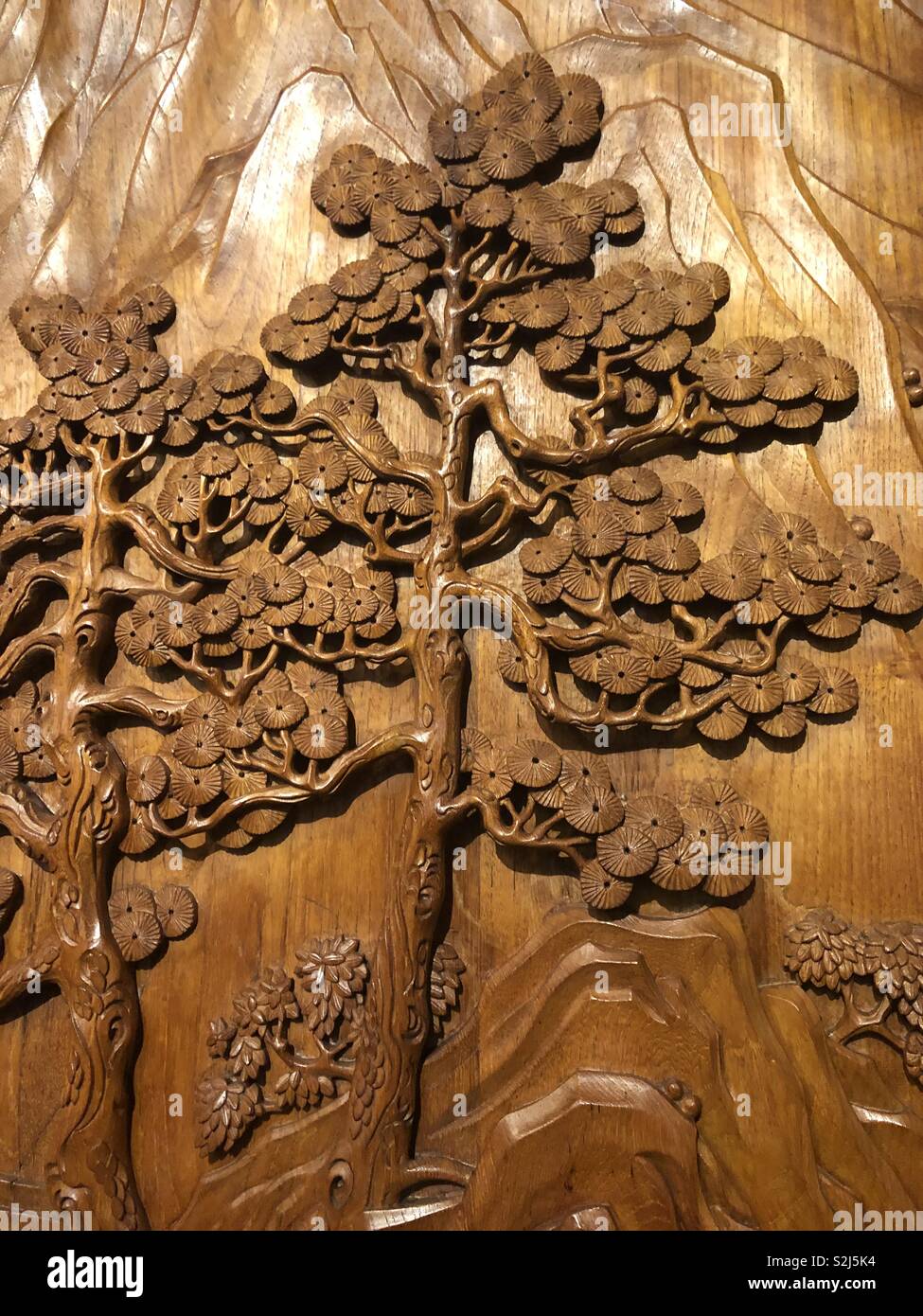 Tree carved in wood Stock Photo