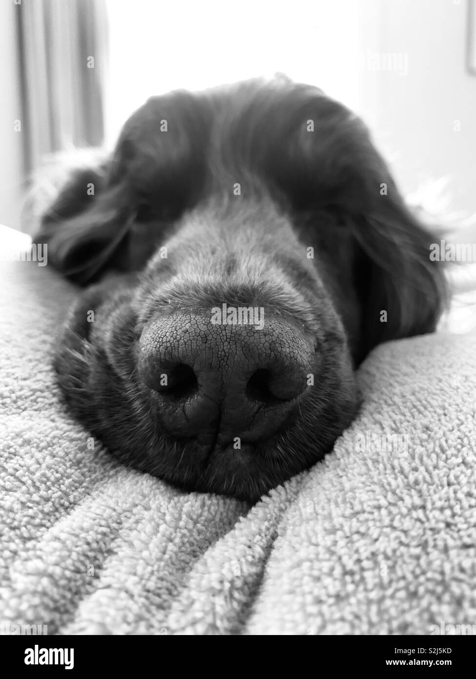 Morning selfie - Smartphone Captured Stock Image