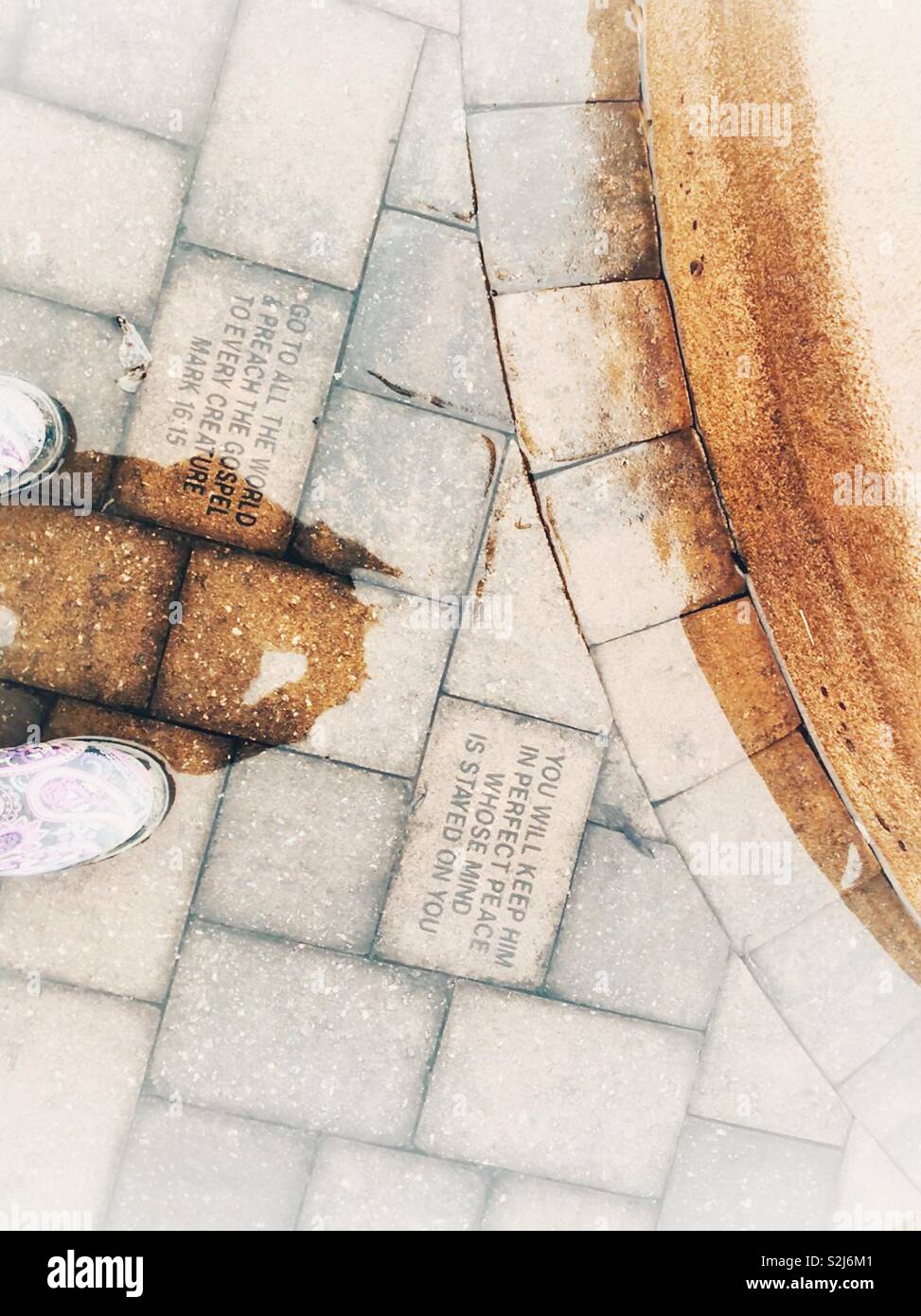 Rainwater, shadow, reflection, and boots in photo of brick patio scripture verses beside fountain base - Smartphone Captured Stock Image