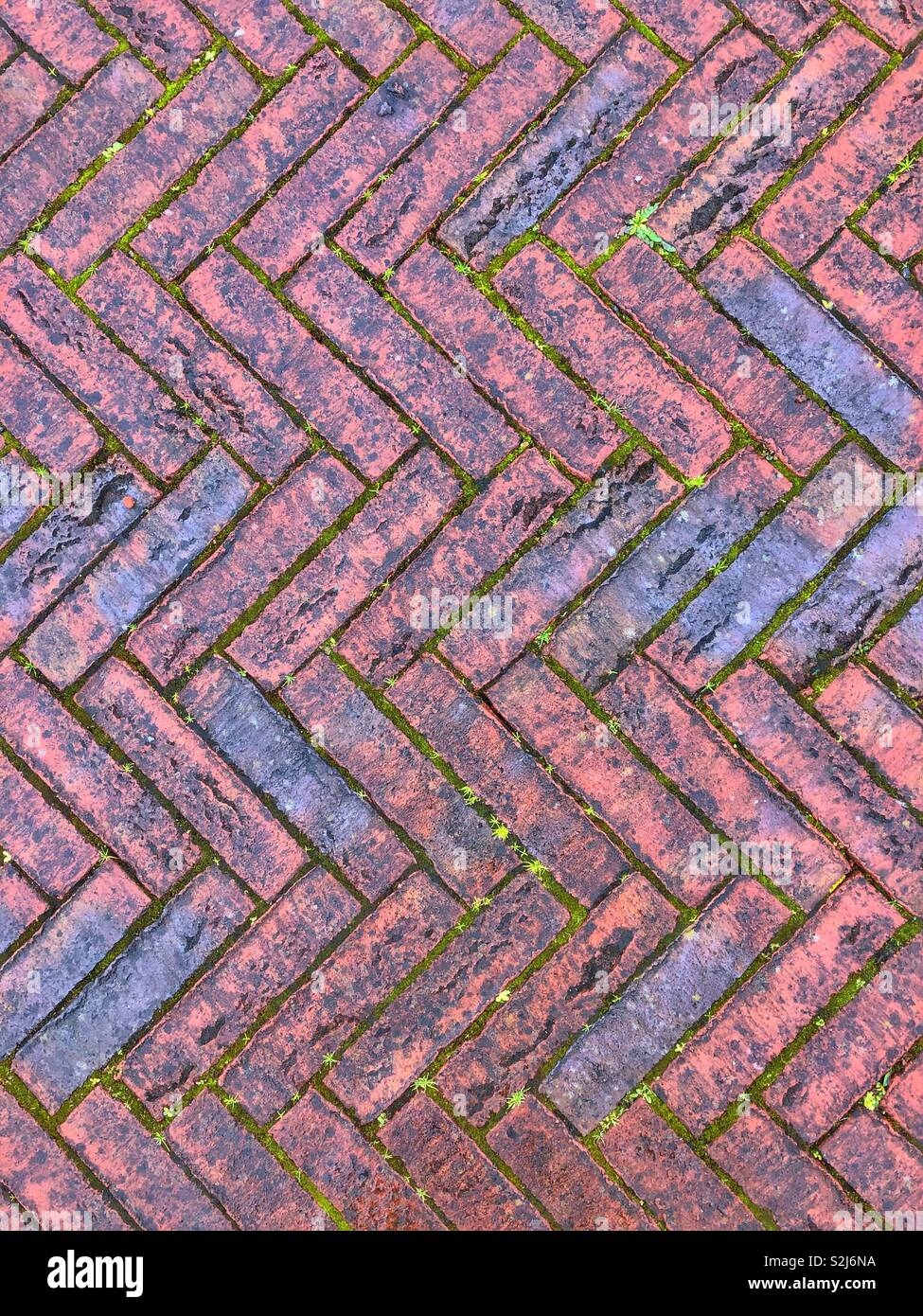 Decorative paving in a herring bone pattern. - Smartphone Captured Stock Image