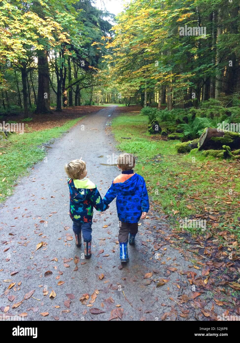 Boys holding hands hi-res stock photography and images - Alamy