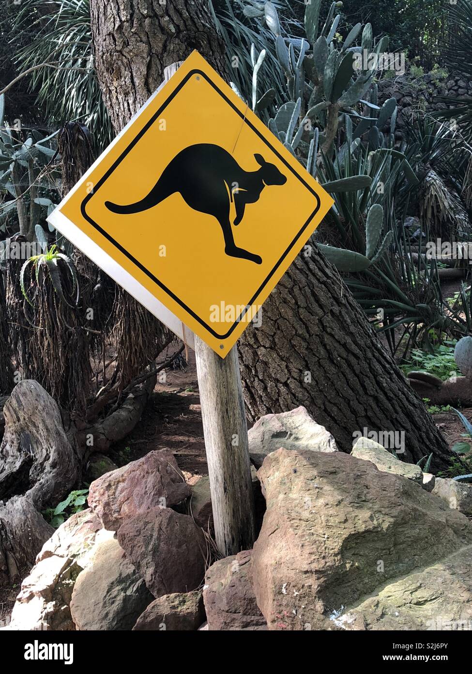 Kangaroo warning sign in a zoo in Portugal - Smartphone Captured Stock Image
