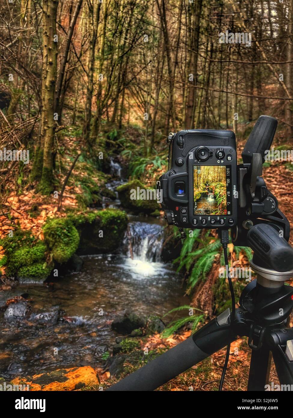 Camera set on a tripod taking a portrait orientation picture of a small waterfall in the forest. - Smartphone Captured Stock Image