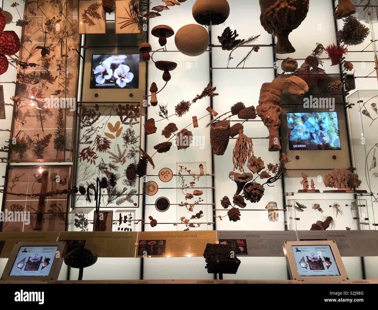 Natural objects hires stock photography and images Alamy