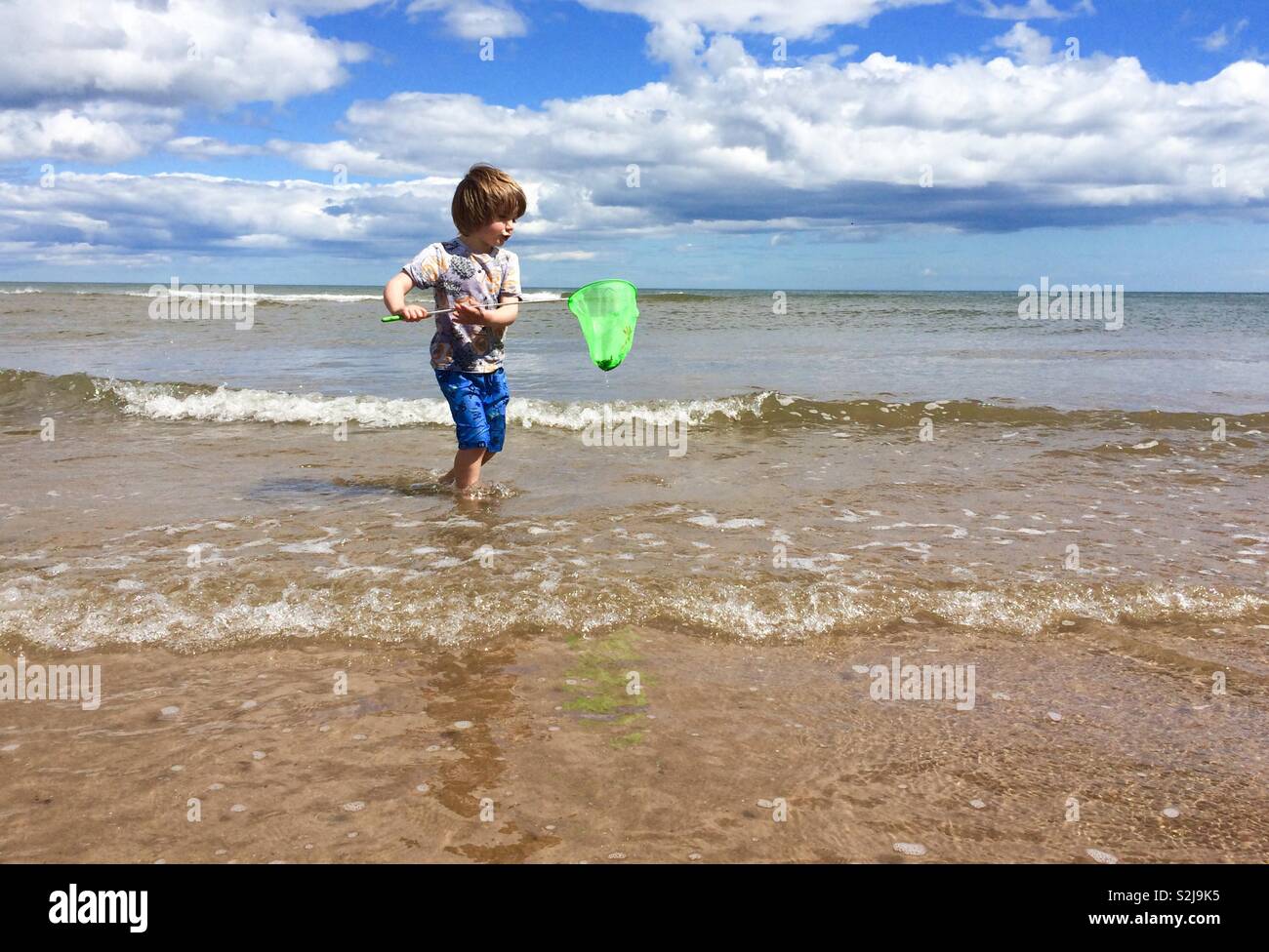 328 Boy Fishing Net Beach Stock Photos, High-Res Pictures, and