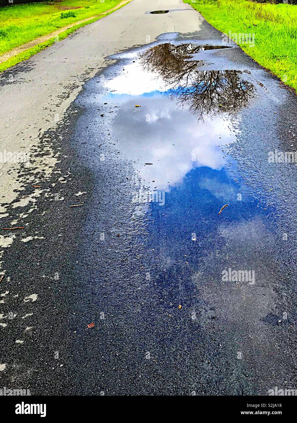 Reflections from a puddle on s trail - Smartphone Captured Stock Image