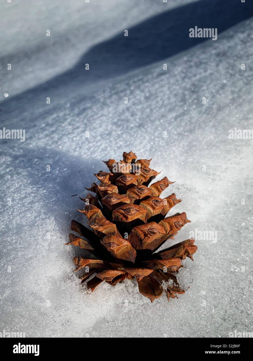 Snow cone hi-res stock photography and images - Alamy
