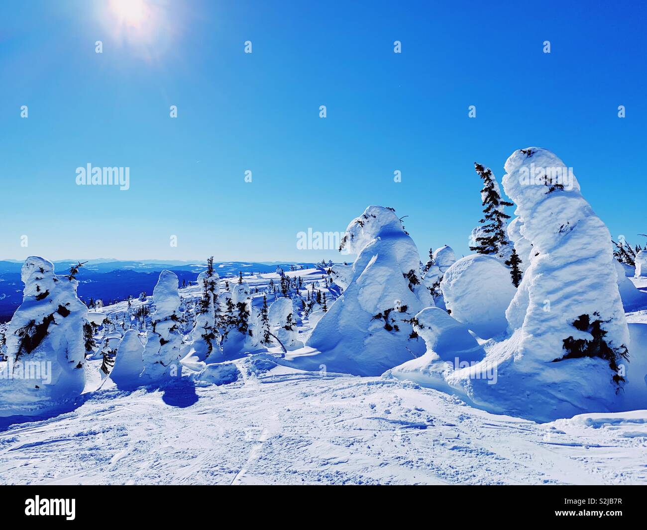 Freezing cold high altitude winter landscape with trees covered in deep snow under a blue sunny sky. Space for copy - Smartphone Captured Stock Image