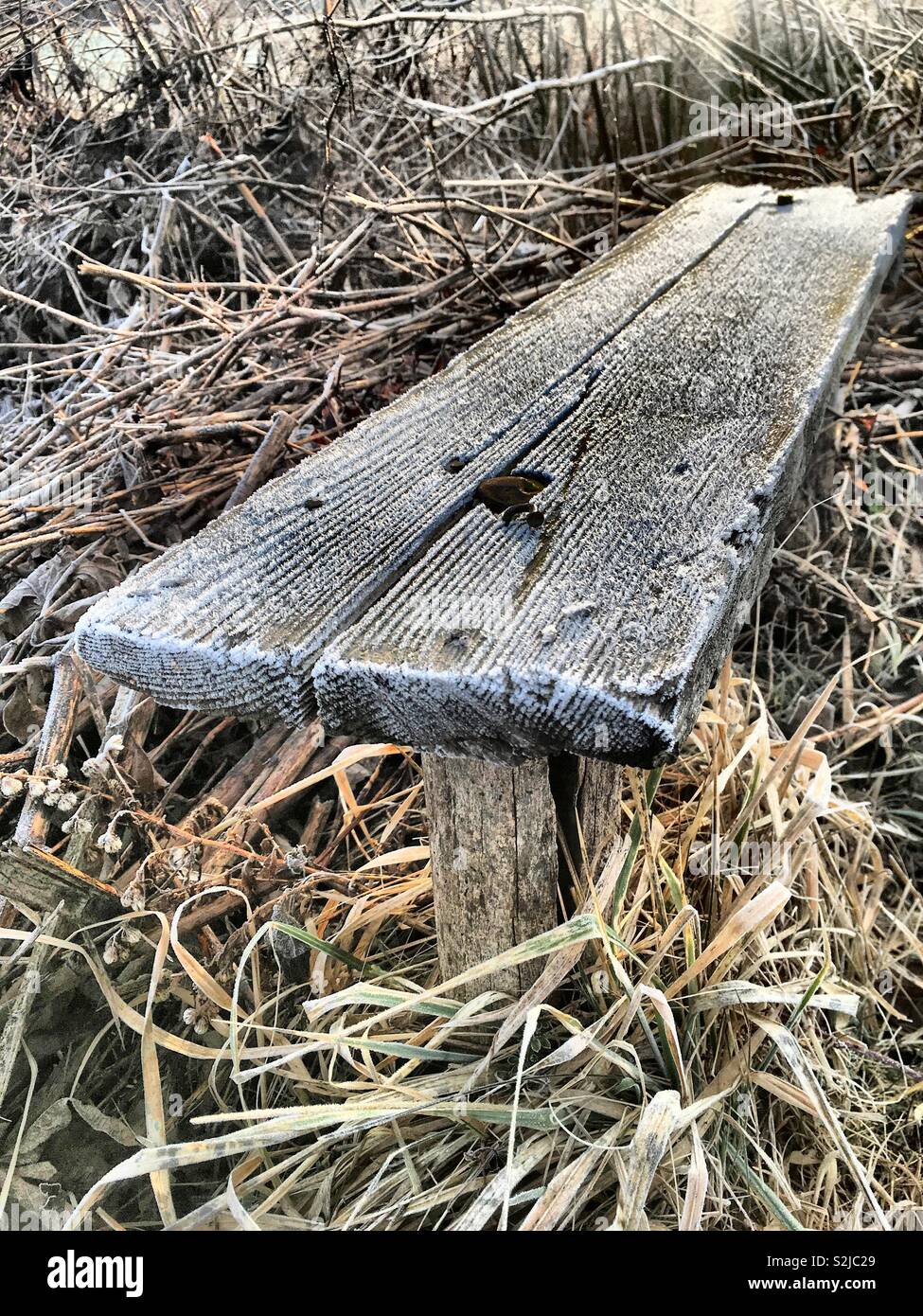 Old wood bench Stock Photo