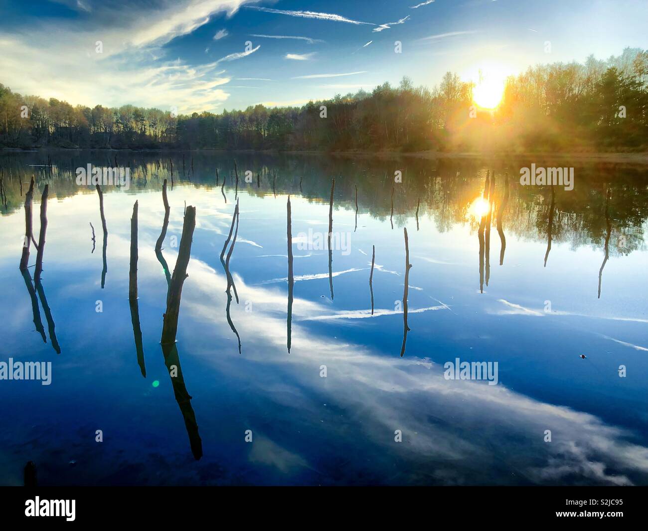 Sticks and branches sticking out of the water of a lake in a forest under a blue sky with a setting or rising sun, all reflected on the surface of the water - Smartphone Captured Stock Image
