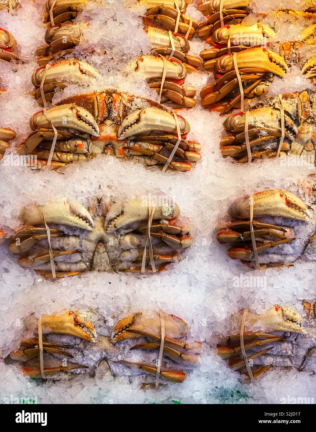 Crabs for sale at a public market. Pikes Place market in Seattle Washington, Stock Photo