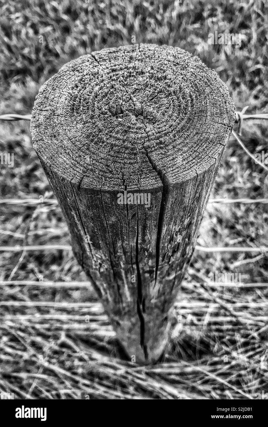 Top down perspective of fence in black and white. March 2019. - Smartphone Captured Stock Image