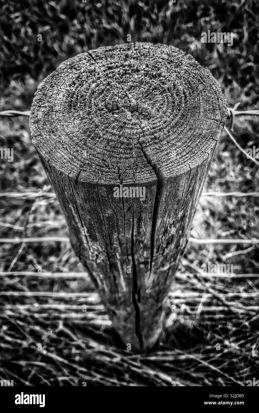 Top down perspective of fence in black and white with vignette. March 2019. - Smartphone Captured Stock Image