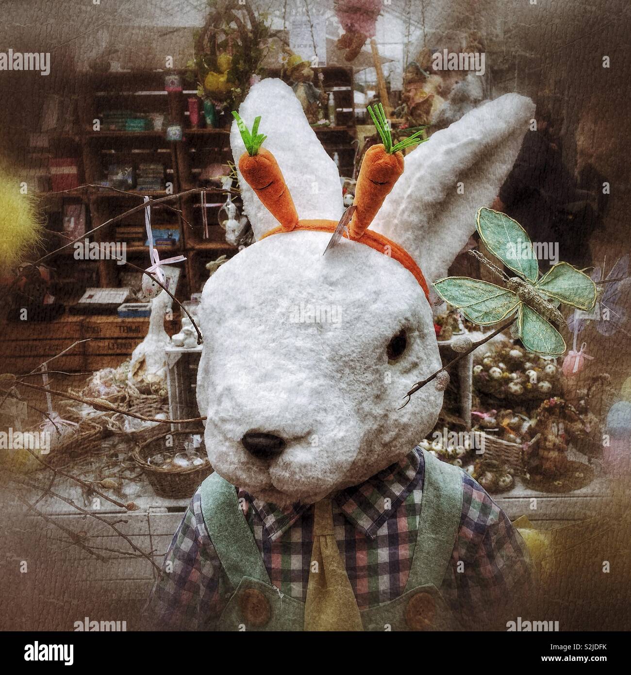 Lifesize Easter Bunny toy, with a carrot headband, on sale at a garden  centre Stock Photo - Alamy