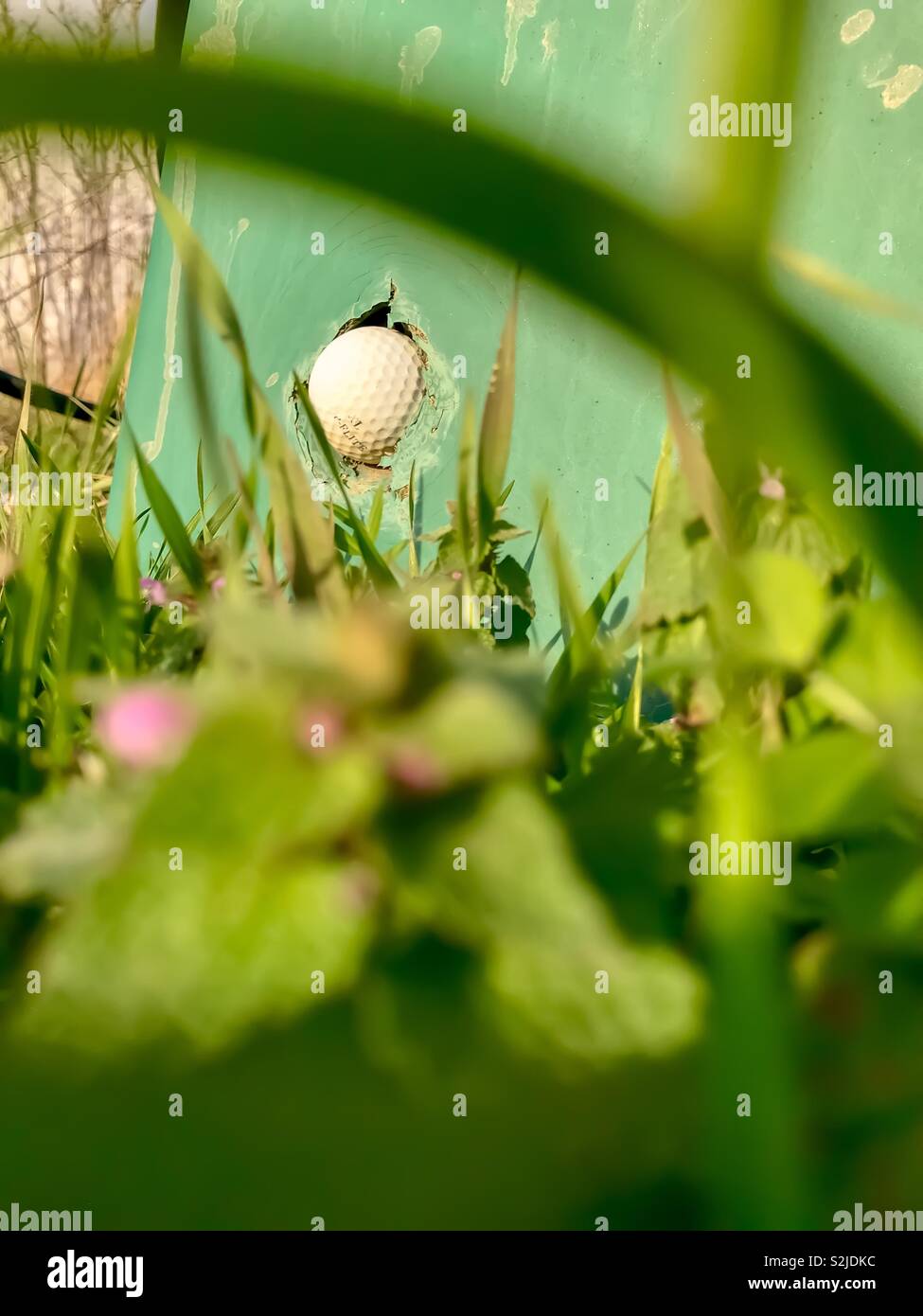 Green predominates in photo of golf ball embedded in well house - Smartphone Captured Stock Image