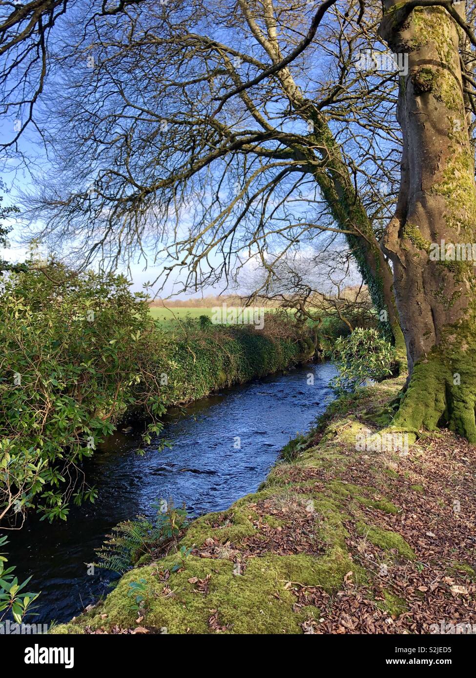 Cool River and Spring Skies, Ireland - Smartphone Captured Stock Image