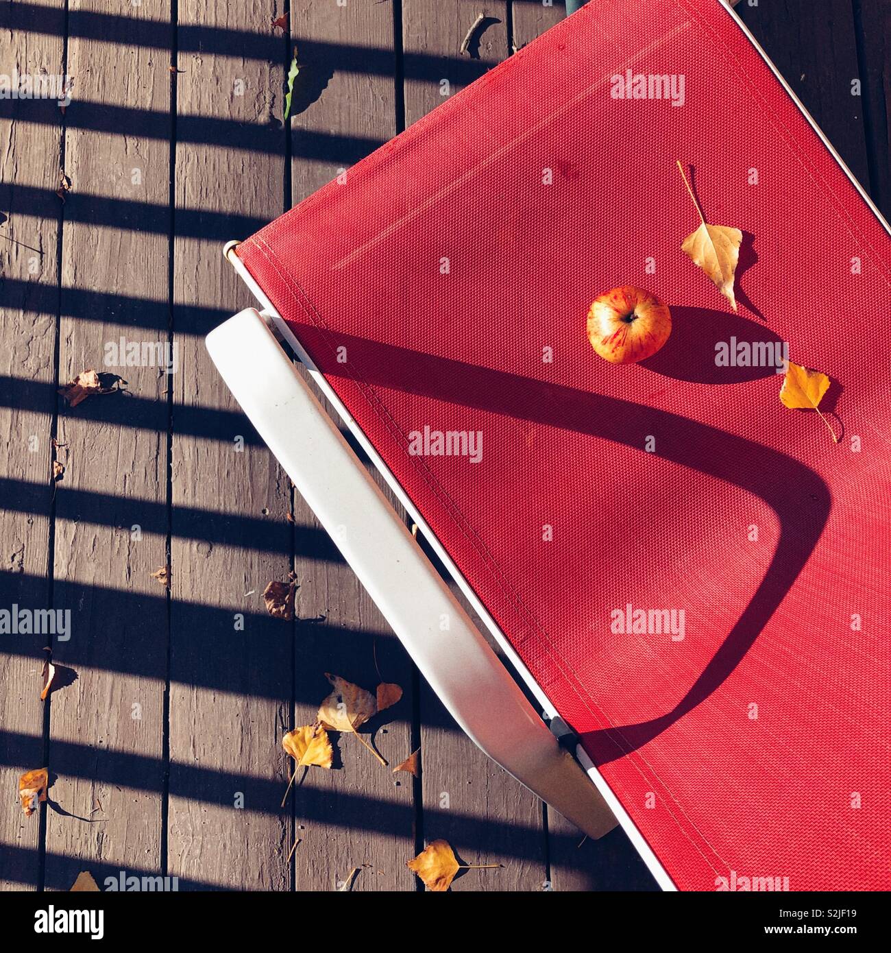 Inevitable signs of fall - Smartphone Captured Stock Image