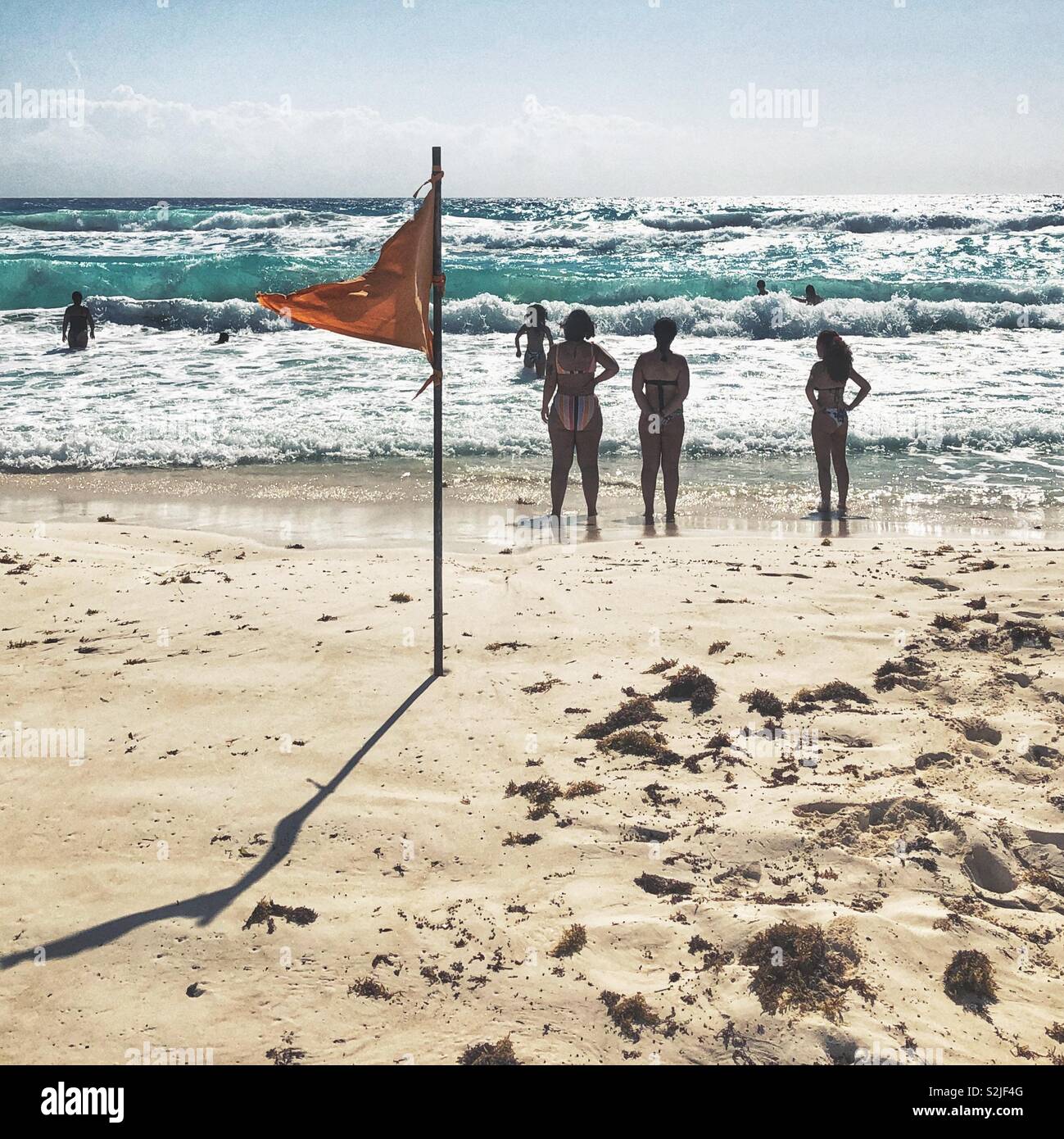 To swim or not to swim? - Smartphone Captured Stock Image