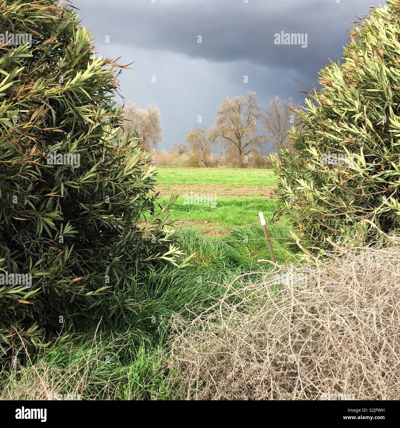 Dramatic lighting under stormy skies near Fresno, California, United States - Smartphone Captured Stock Image
