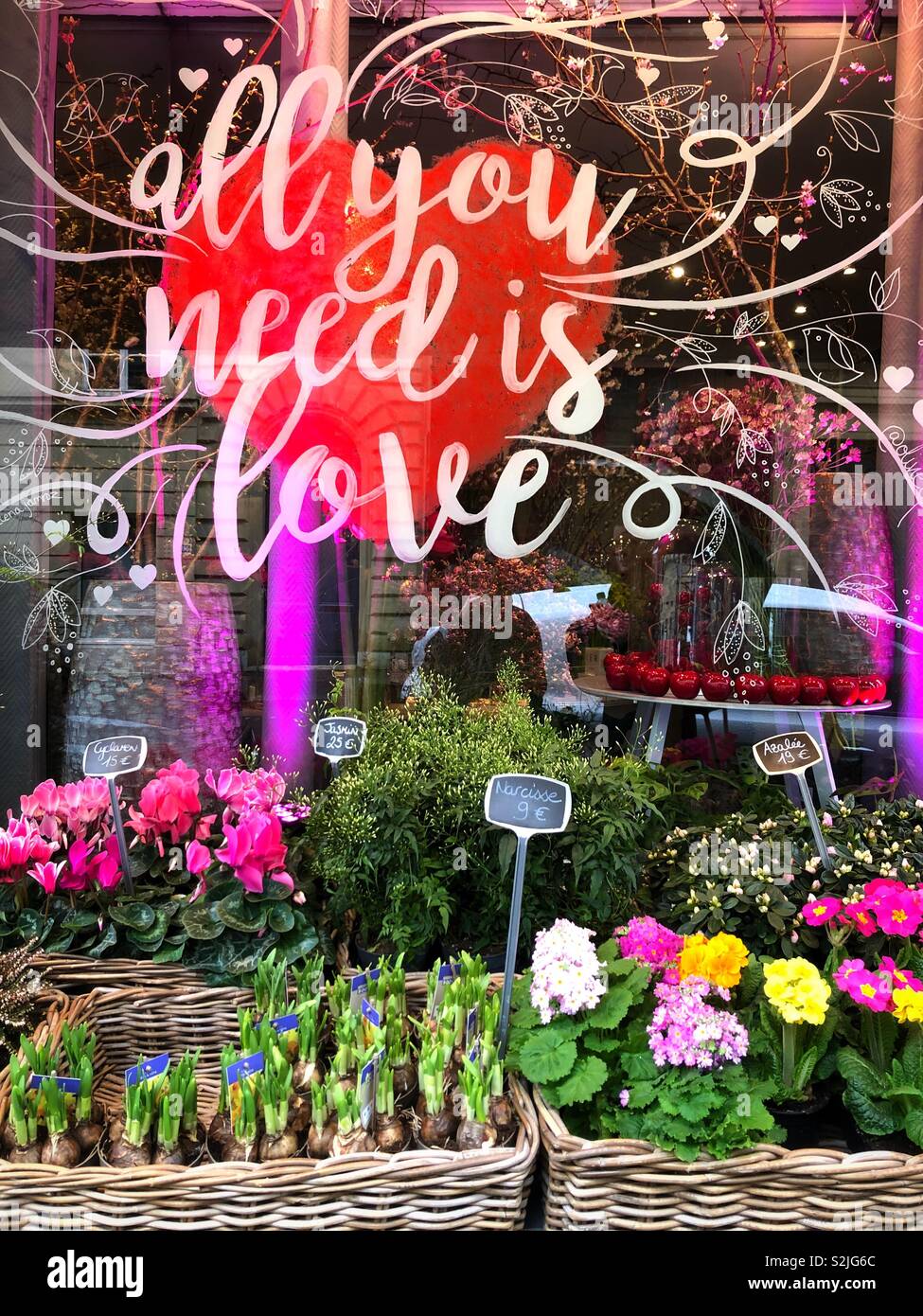 Flowers and plants for sale outside of a flower shop in Paris, France.  The window is painted with the saying “All you need is Love” Stock Photo