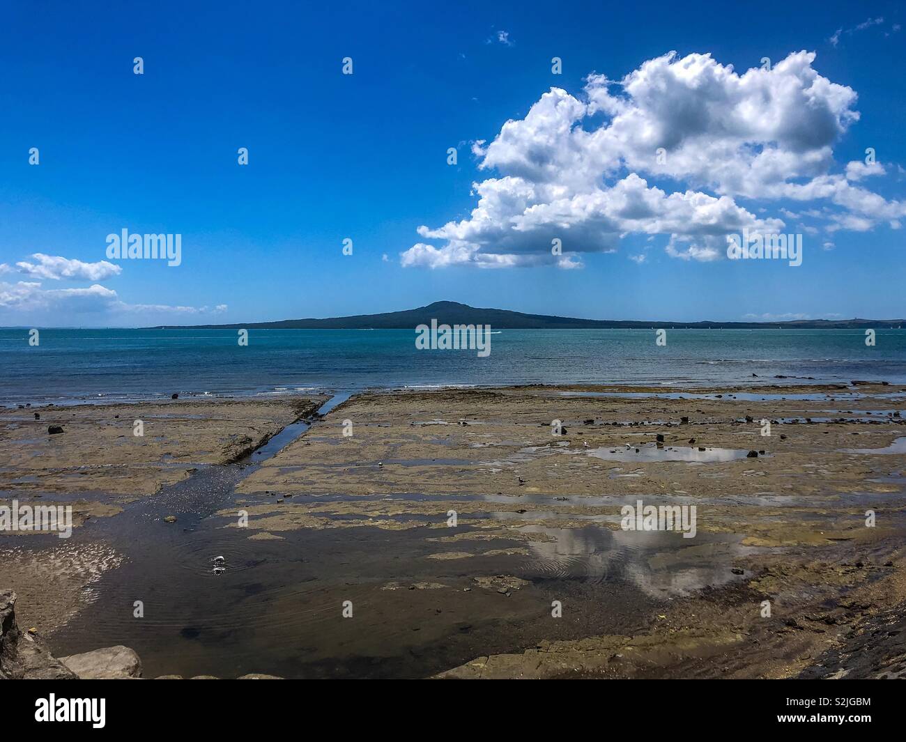 Rangitoto island, New Zealand Stock Photo