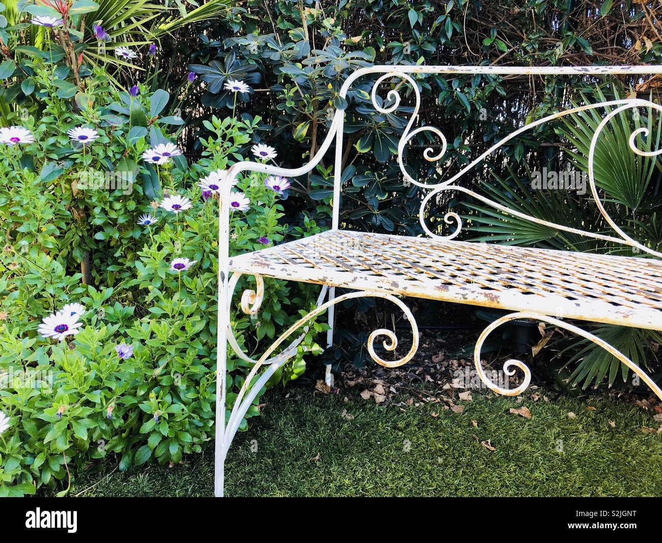Metal bench in garden - Smartphone Captured Stock Image