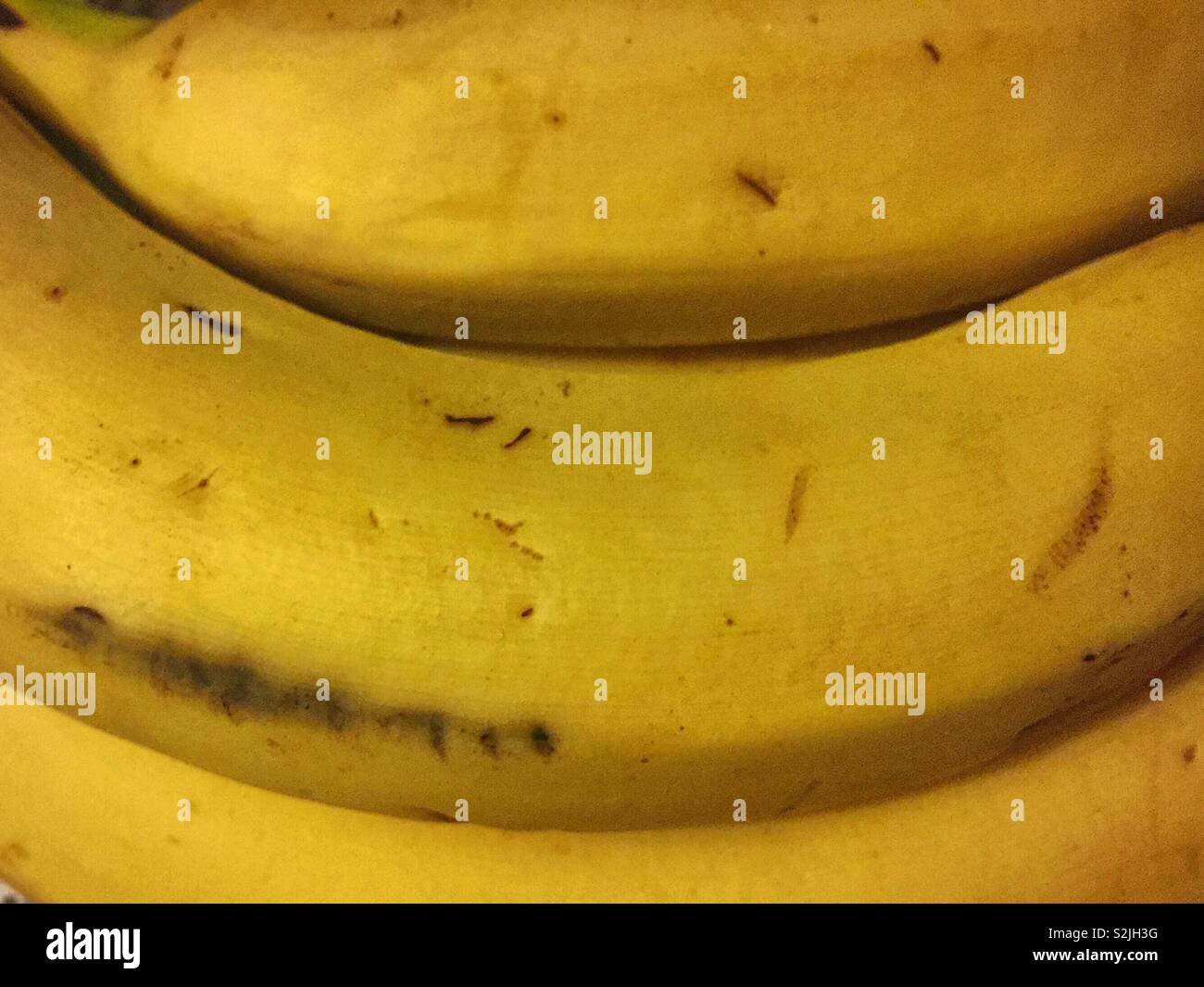 How to ripen bananas hires stock photography and images Alamy