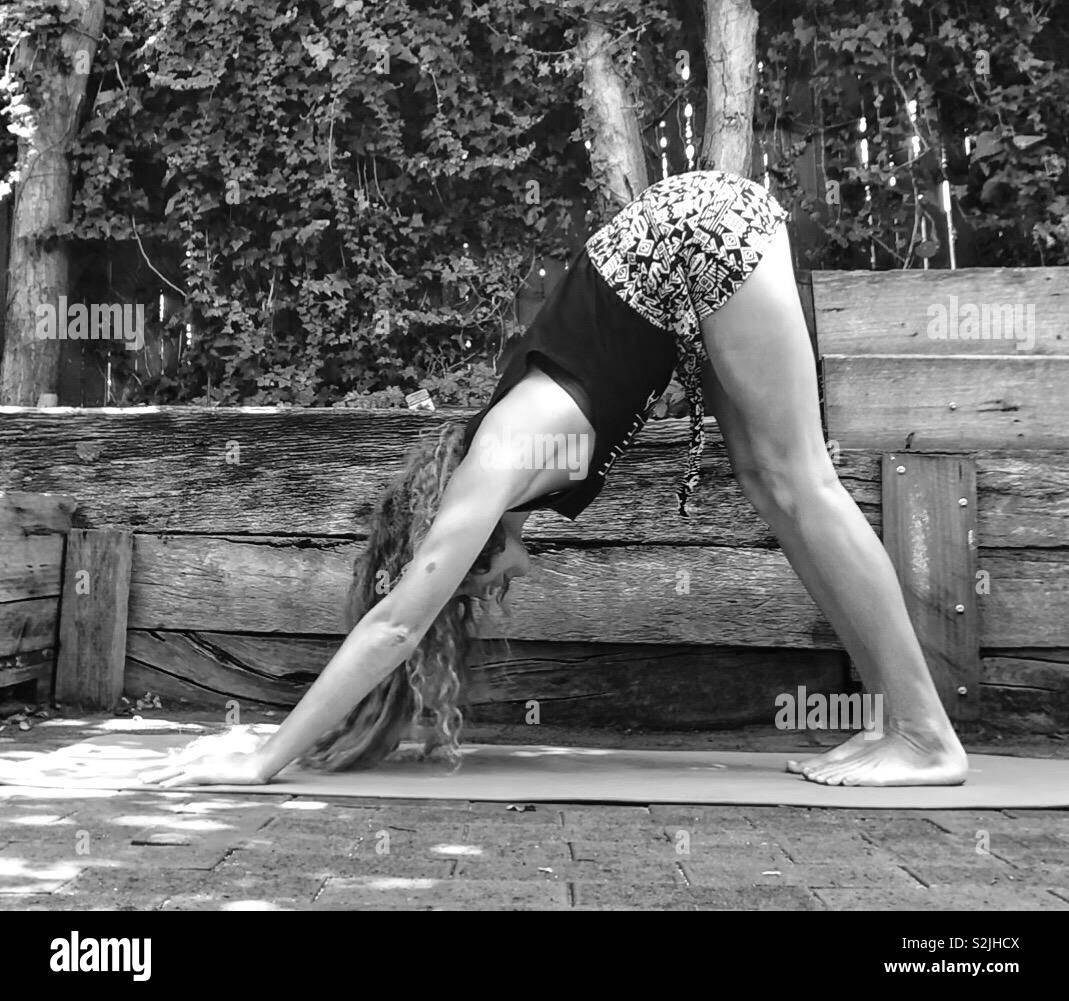 Downward facing dog in black and white Stock Photo