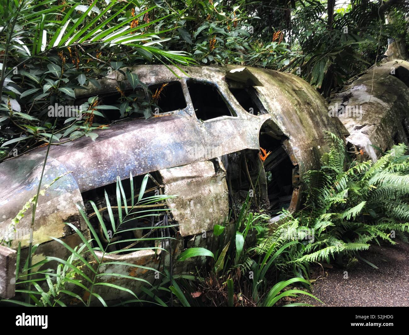 Plane crash in the jungle Stock Photo Alamy
