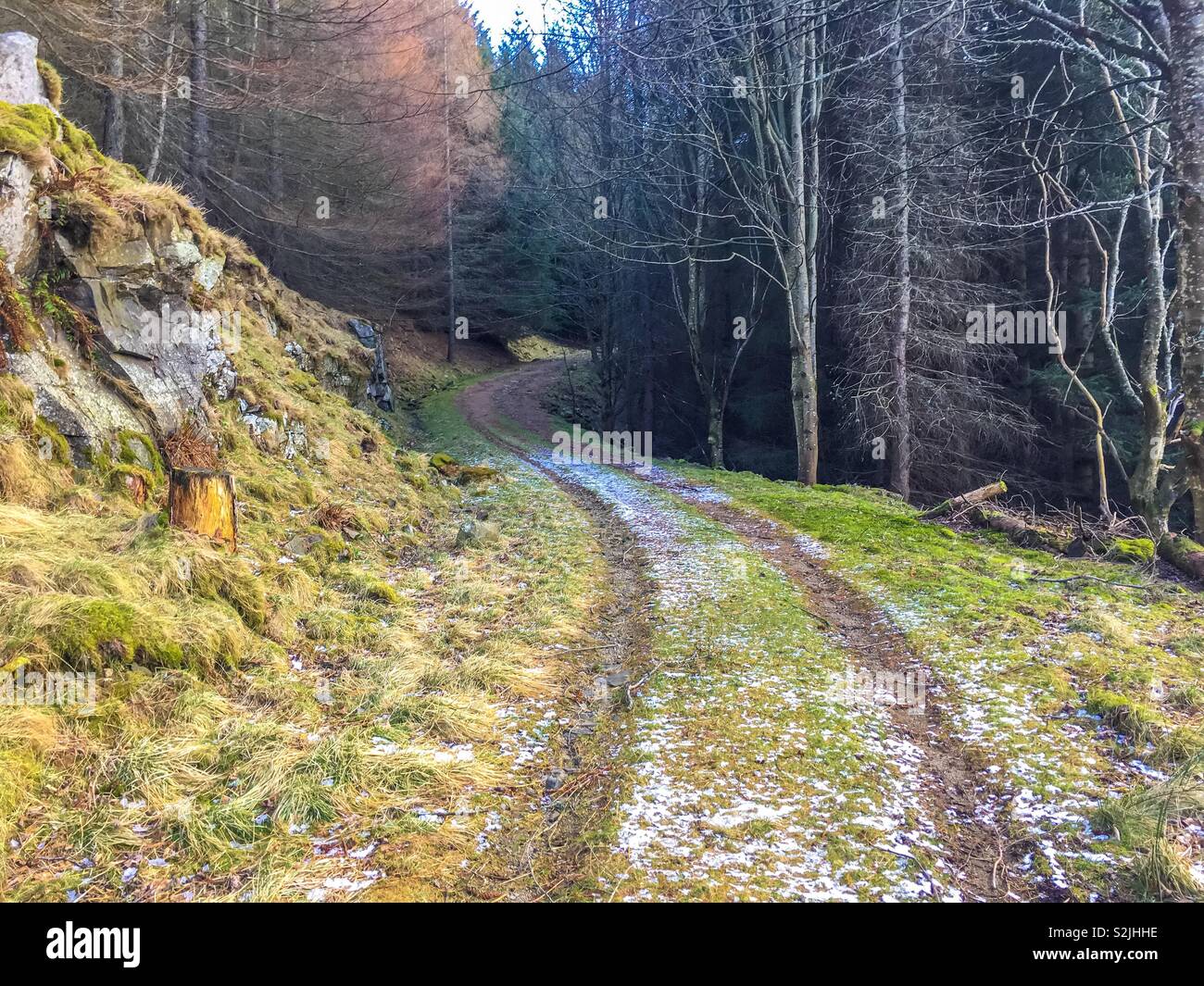 Spring is on the way Stock Photo - Alamy