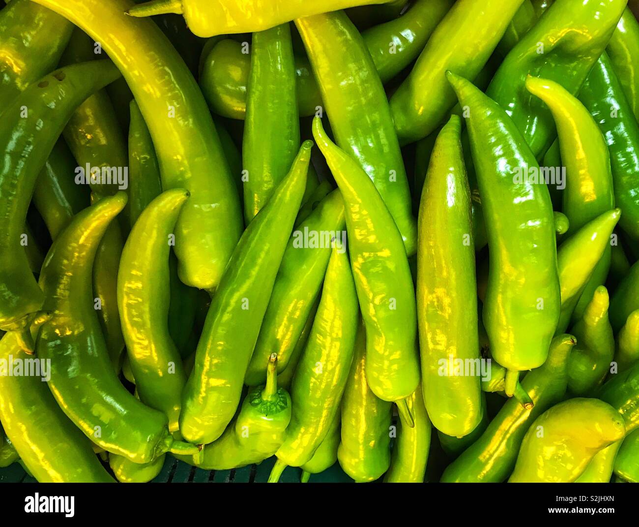 Fresh jalapeños - Smartphone Captured Stock Image