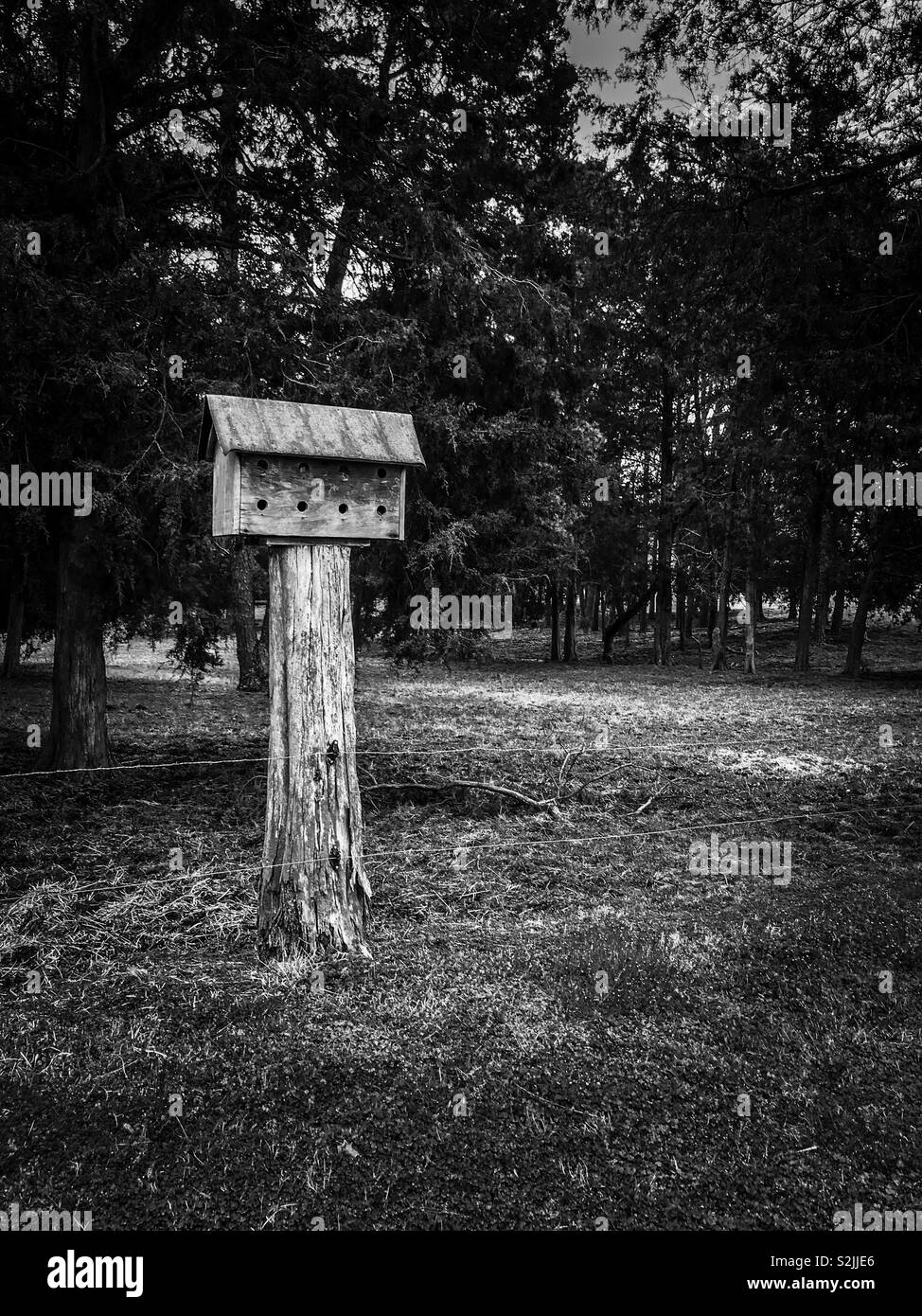 Black and white photo of a Purple Martin bird house on a post near woods - Smartphone Captured Stock Image