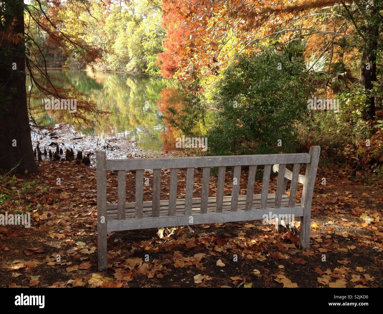 Park bench in the Fall Stock Photo