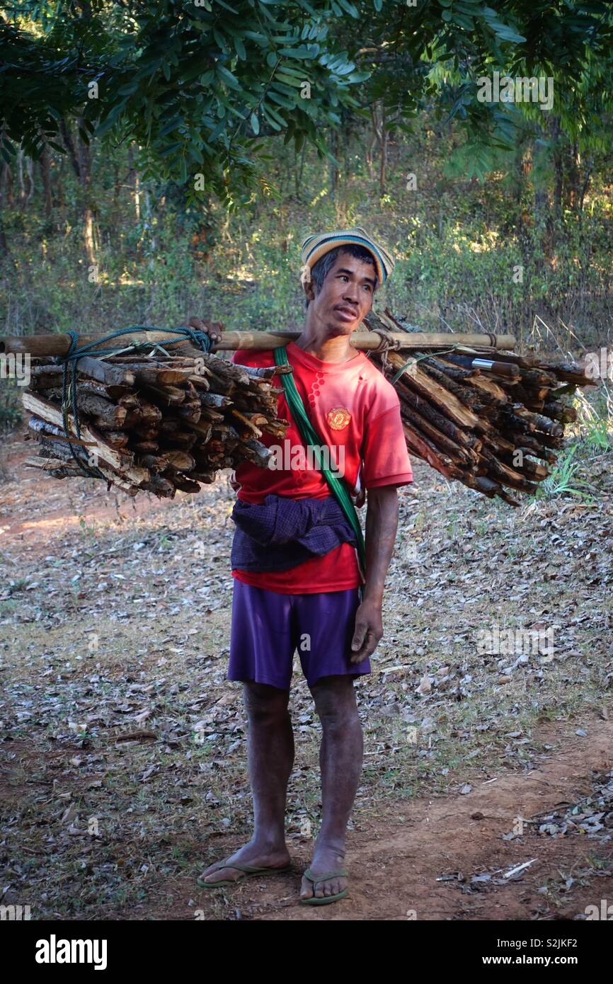 Portrait of a Burmese man carrying firewood. Looking tired and exhausted in this everyday life scene. Rural scene in the hinterland of Myanmar, formally known as Birma or Burma. Stock Photo