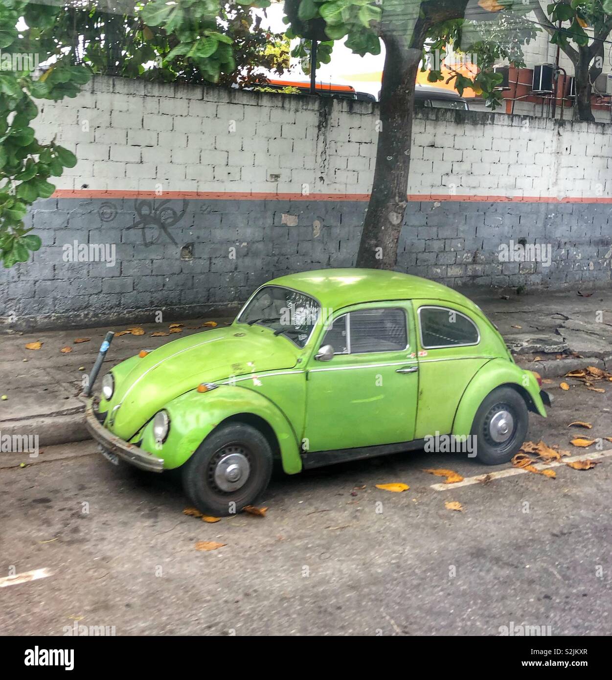 An original green VW beetle bug parked on a street. Stock Photo