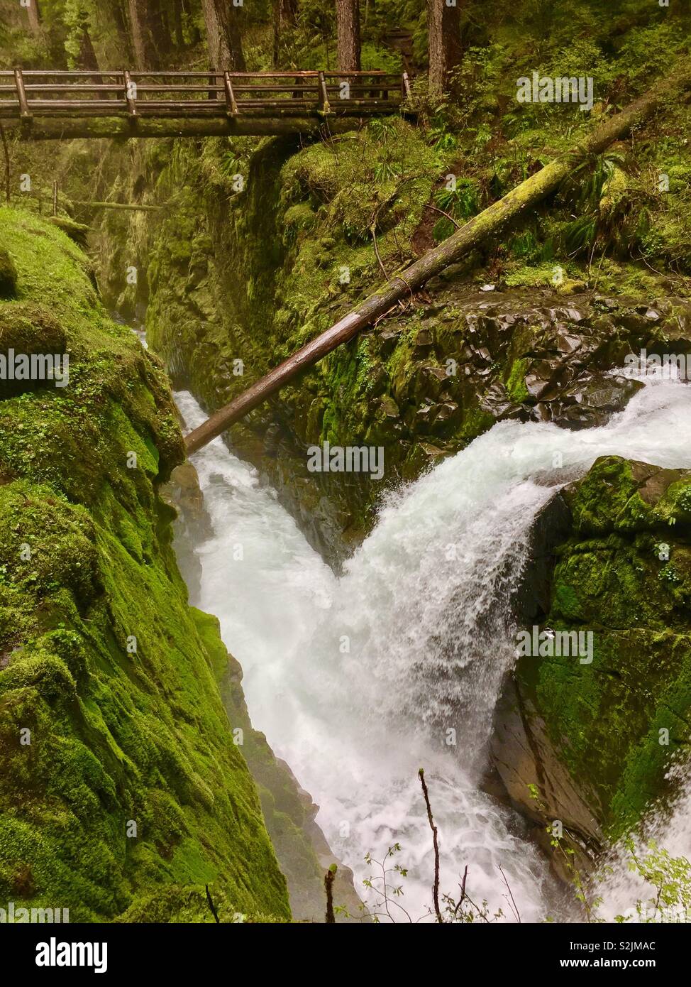 Bridge near sol duc falls, Olympic National Park, Washington, usa Stock