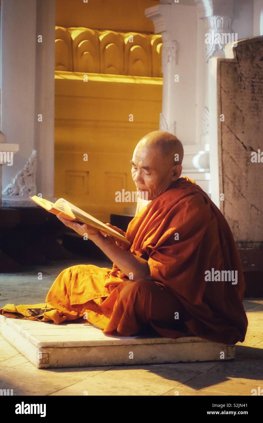 Spiritual moment in Myanmar, Burma: portrait of a Buddhist monk sitting calm next to the shwedagon pagoda reading holy texts from an open book in his hands. Stock Photo
