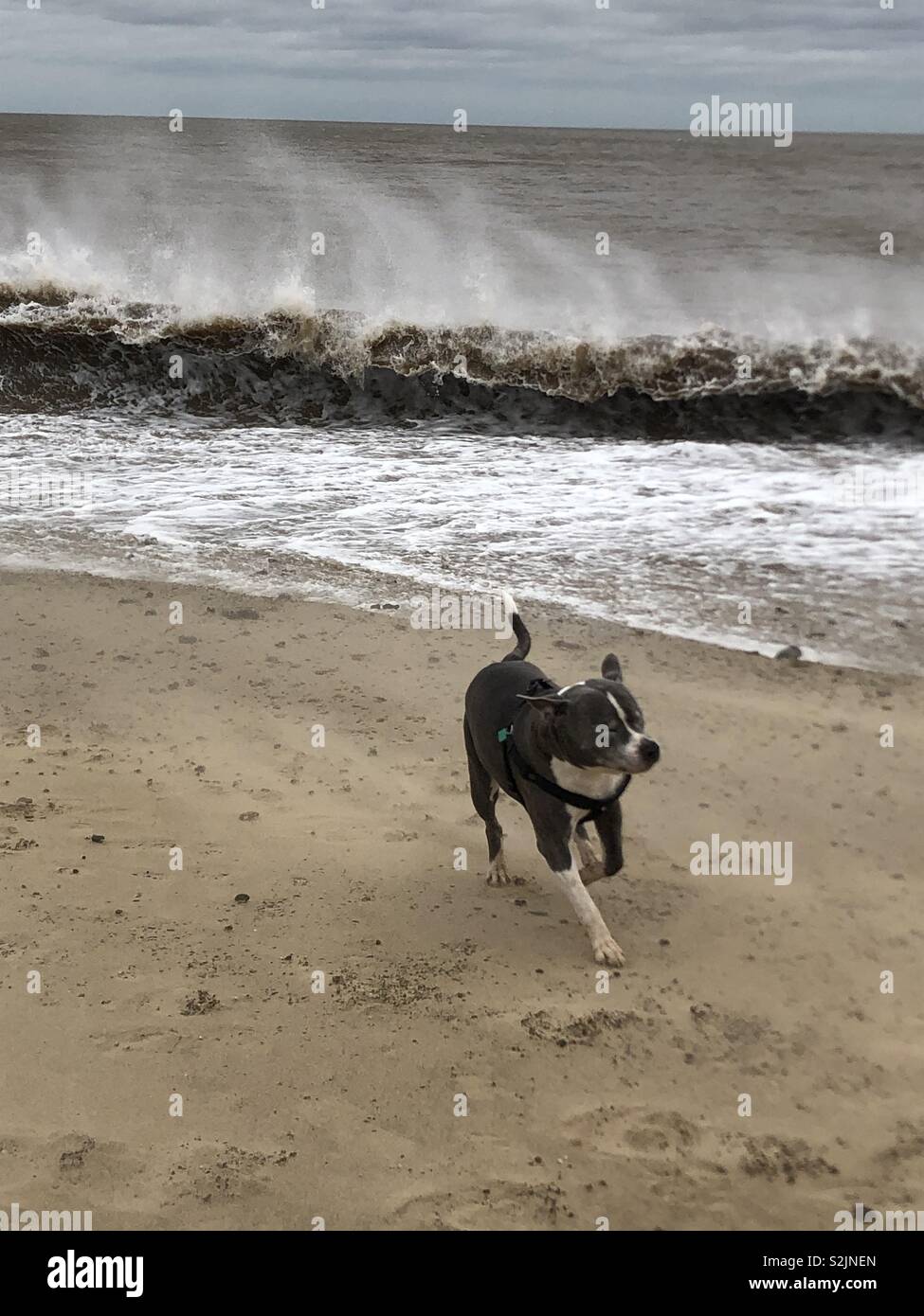 Its a bit windy hi-res stock photography and images - Alamy