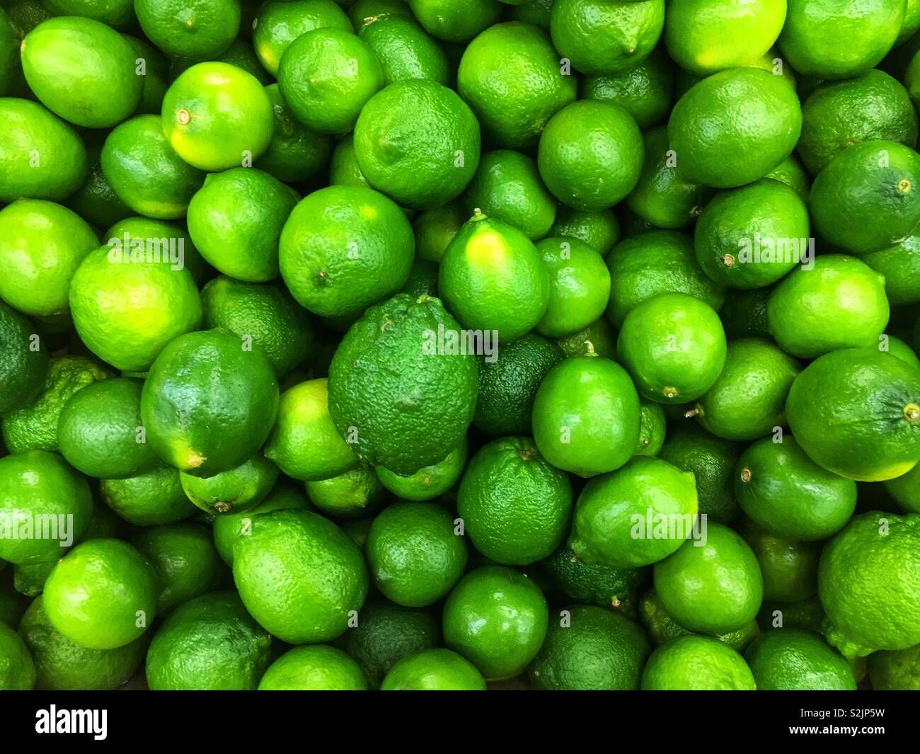 Bin full of fresh green limes on display and for sale at the local produce market. - Smartphone Captured Stock Image