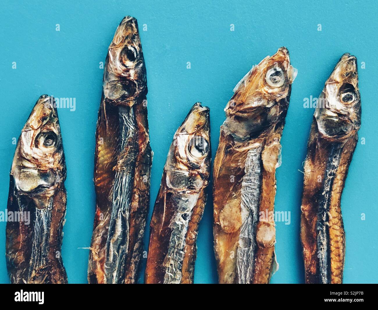 Closeup of dried sardines on a blue background Stock Photo