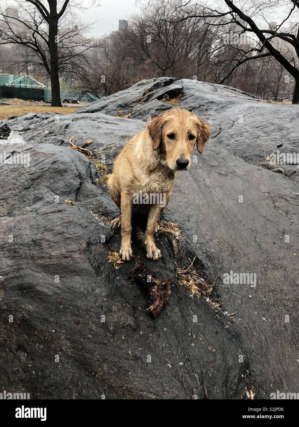 Dripping mud hires stock photography and images Alamy