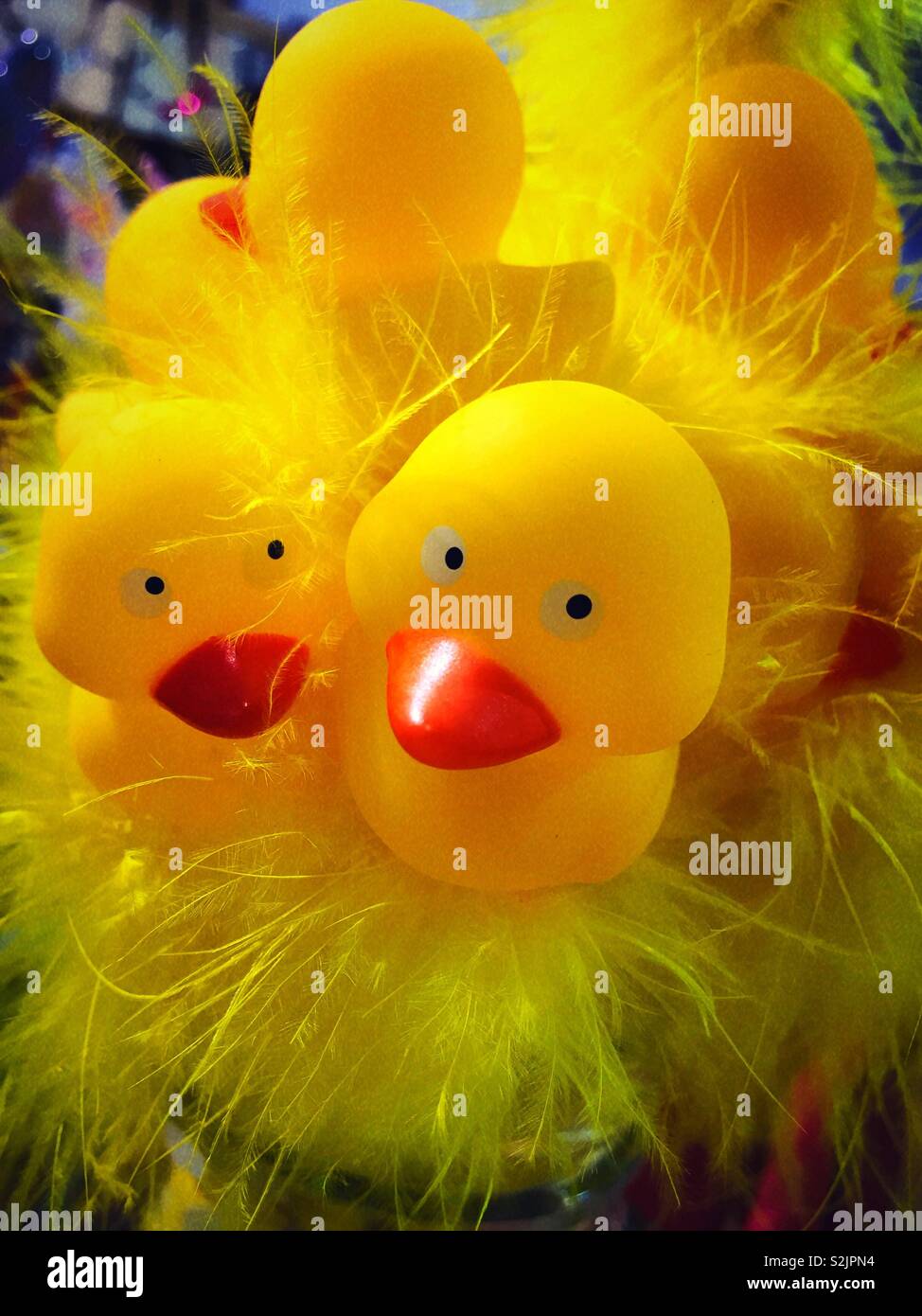Easter chicks display at retail store, NYC,USA - Smartphone Captured Stock Image