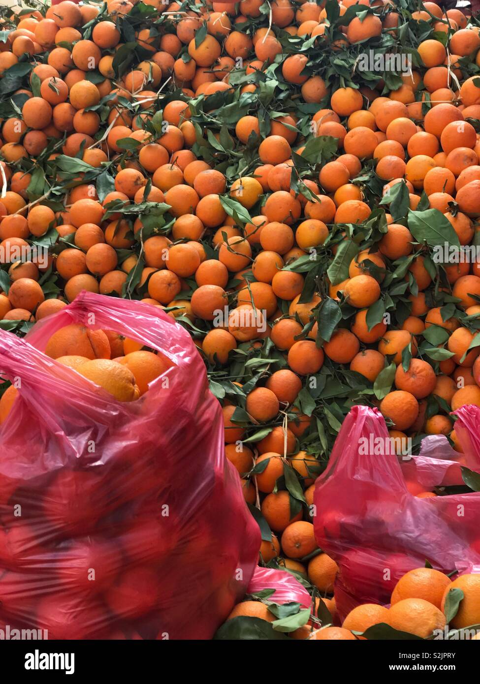 Oranges from Morocco, sweet and juicy - Smartphone Captured Stock Image