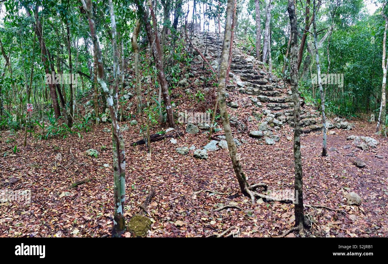 Mayan ruins in the jungle, Coba, mexico Stock Photo