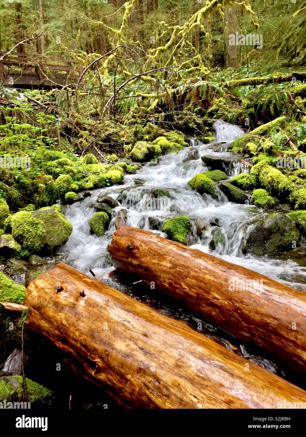 Logs in waterfall, sol duc falls, Olympic National park, Washington Stock Photo